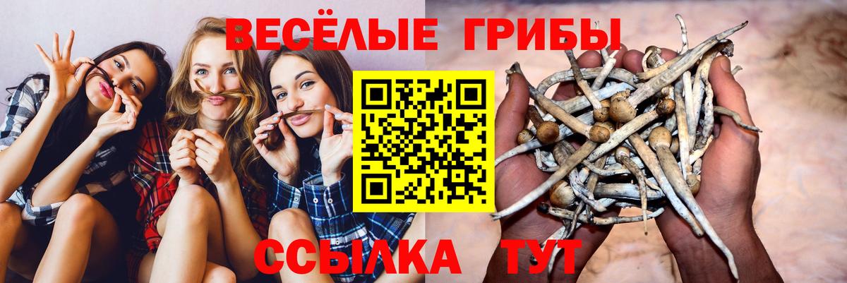 Ростов Великий  Псилоцибиновые грибы MAGIC MUSHROOMS  где можно купить наркотик  Вход с VPN  Галлюциногенные грибы Psilocybine cubensis 