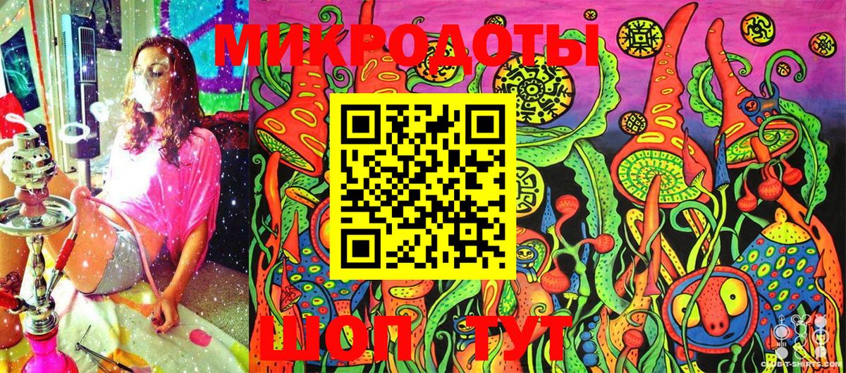 Псилоцибиновые грибы Psilocybe Ростов Великий